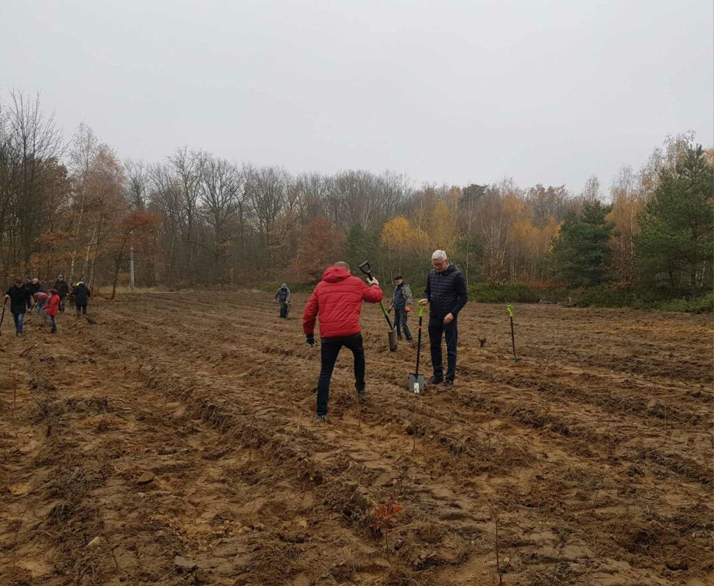 Poznan_Mayor planting the forest_AO