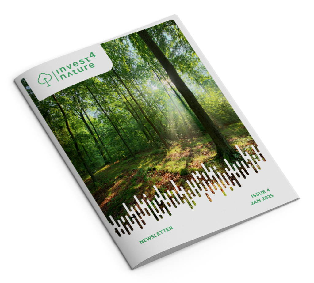 I4N-Newsletter-04_CoverMockUp1