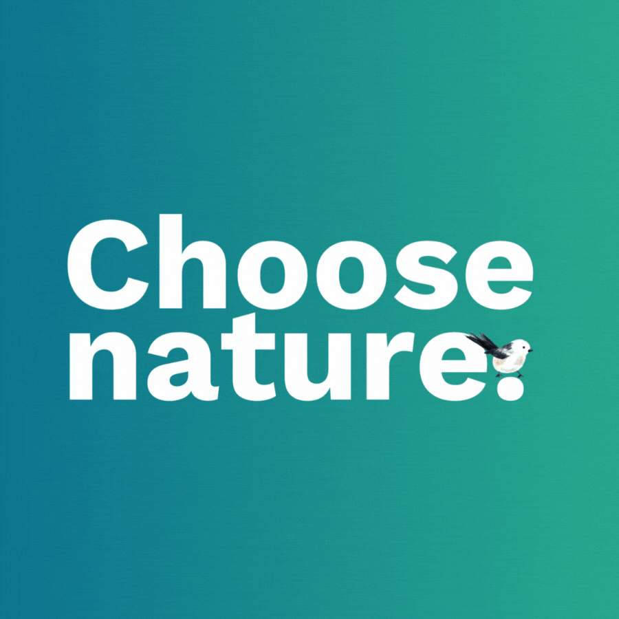 NN+choose nature